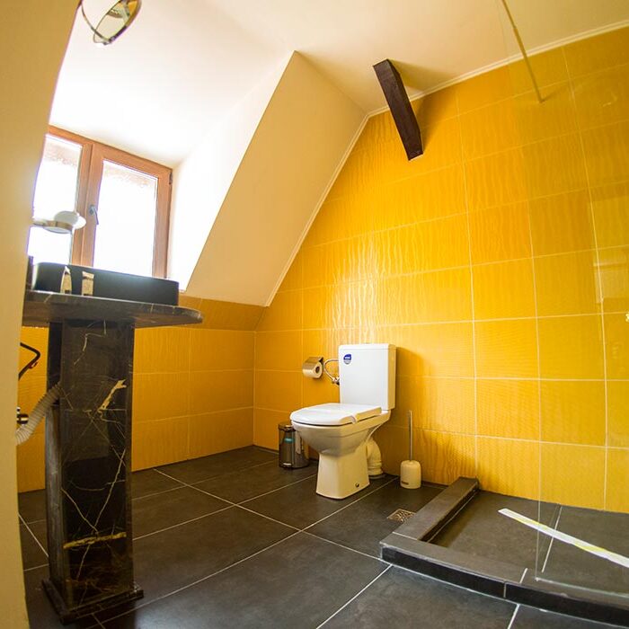 Cazare in Predeal - Voila Inn - Camera dubla standard